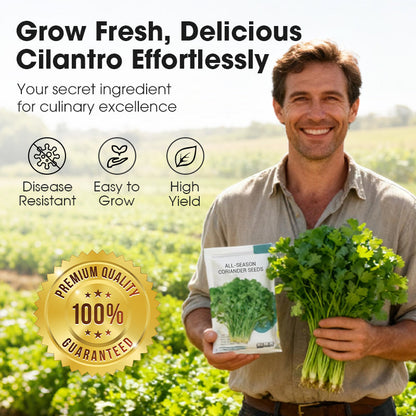 All-Season Disease-Resistant Coriander Seeds