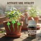 All-Purpose Plant Root Stimulator and Soil Revitalizer