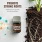 All-Purpose Plant Root Stimulator and Soil Revitalizer