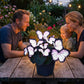 Whimsical Butterfly Shaped Flower Seeds