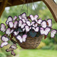 Whimsical Butterfly Shaped Flower Seeds