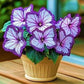 Whimsical Butterfly Shaped Flower Seeds