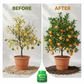 Slow-Release Orange Tree Food