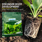 Rapid Green-Up Foliar Fertilizer